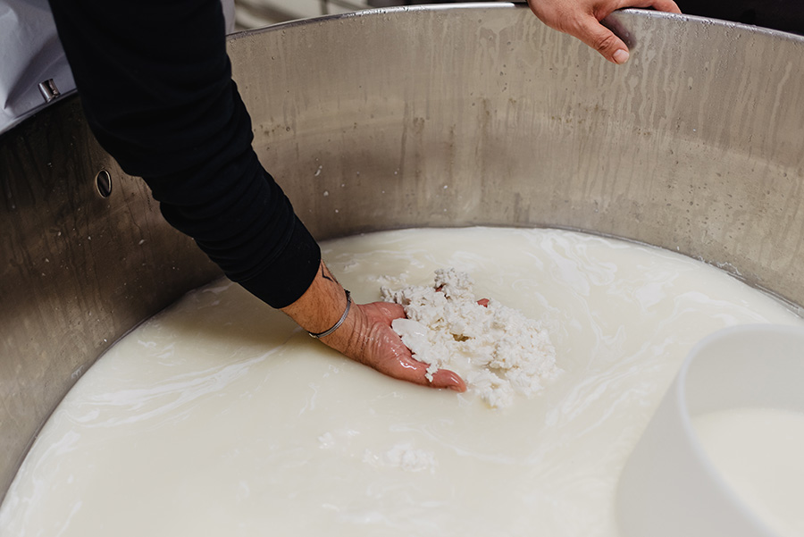 Processo di Coagulazione e Filtraggio